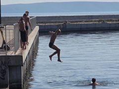 newsplaceholder