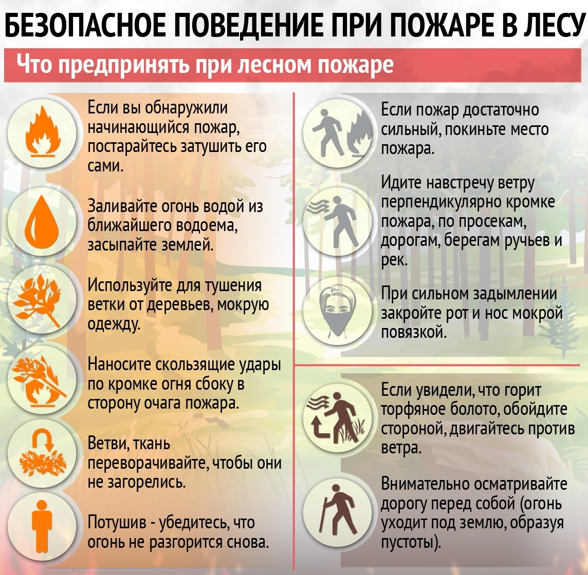 Лесные пожары в регионе Якутия и способы борьбы с ними Jeopardy Template