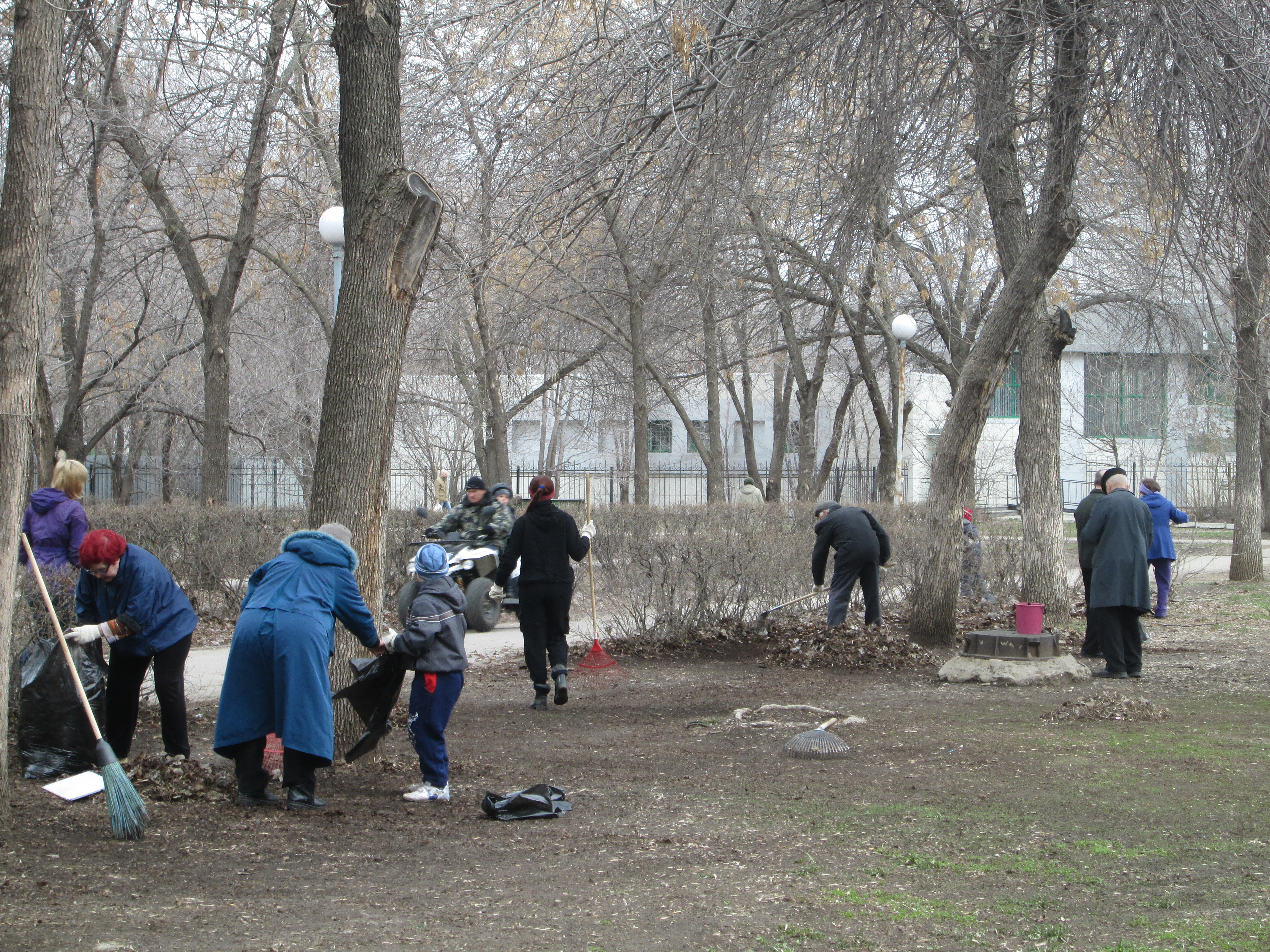 Санитарная очистка города. Субботник Тольятти - чистый городок. Тольятти чистый город. Школьники белят деревья.